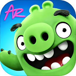 愤怒的小鸟里约大冒险最新版(Angry Birds) v2.6.13 安卓版1